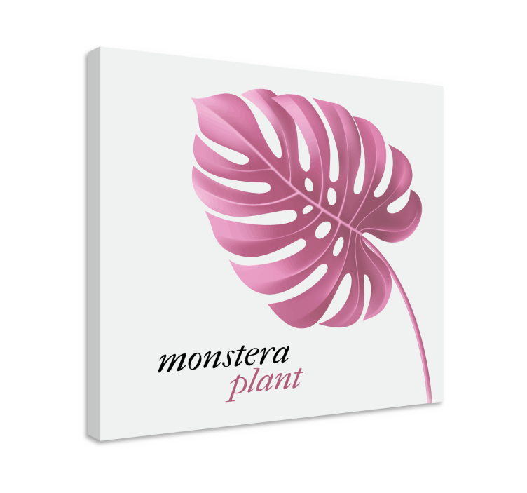 Tableau fleurs et plantes monstera - TenStickers