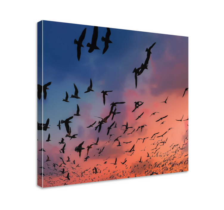 Tableau oiseaux vol de passereaux - TenStickers