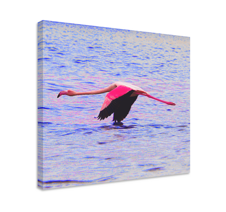 Tableau poissons flamants en vol - TenStickers