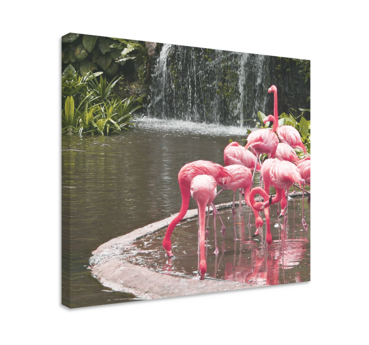 Tableau chiens flamboyants au bord de la piscine - TenStickers