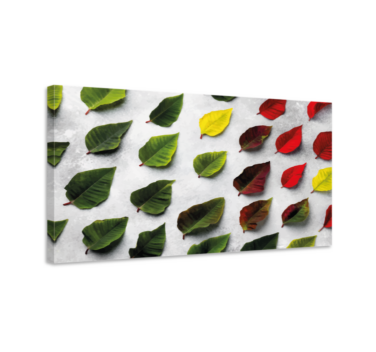Tableau fleurs et plantes collection de feuilles variées - TenStickers