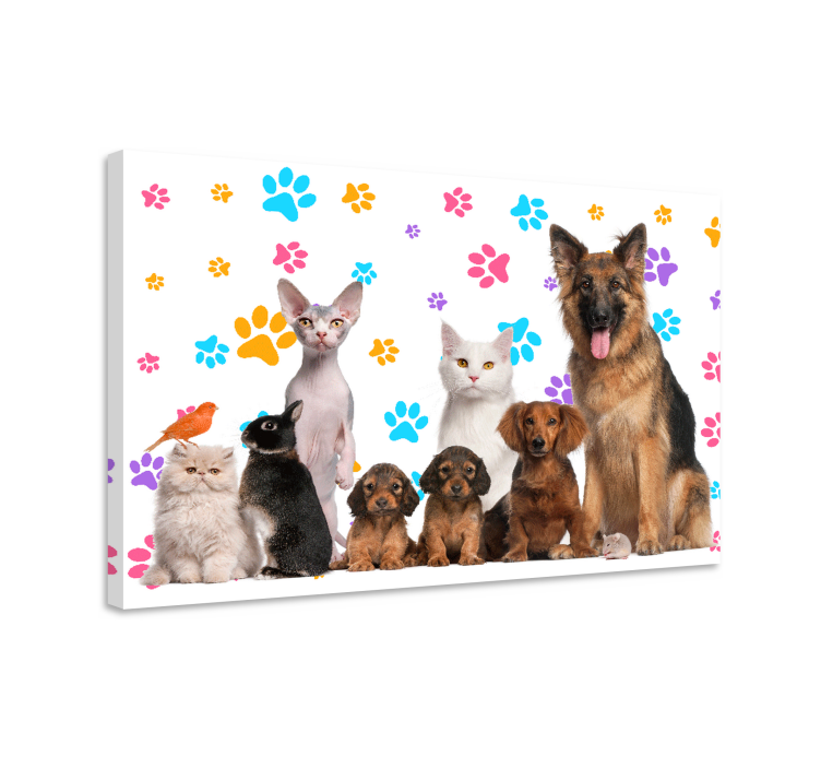 Tableau animal Chiens et chats - TenStickers