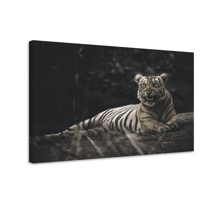 Tableau animaux tigre majestueux au repos - TenStickers