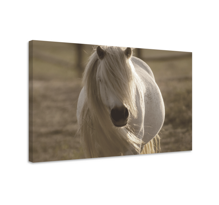 Tableau animal Cheval au visage blanc - TenStickers