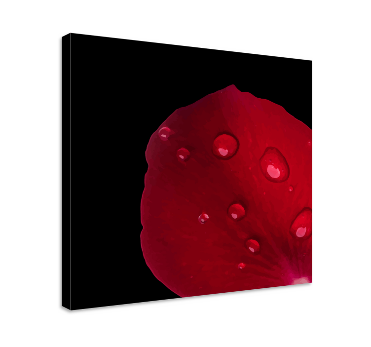 Tableau fleurs et plantes détail pétales de rose - TenStickers