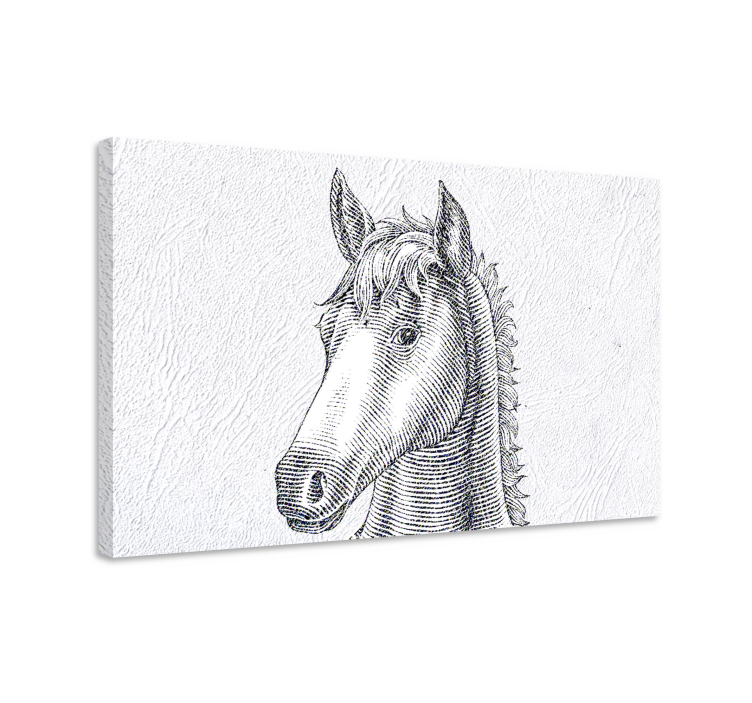 Tableau chevaux croquis élégant - TenStickers