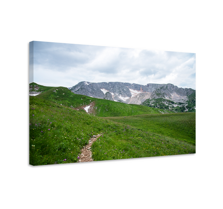 Tableau paysage chemin de montagne serein - TenStickers