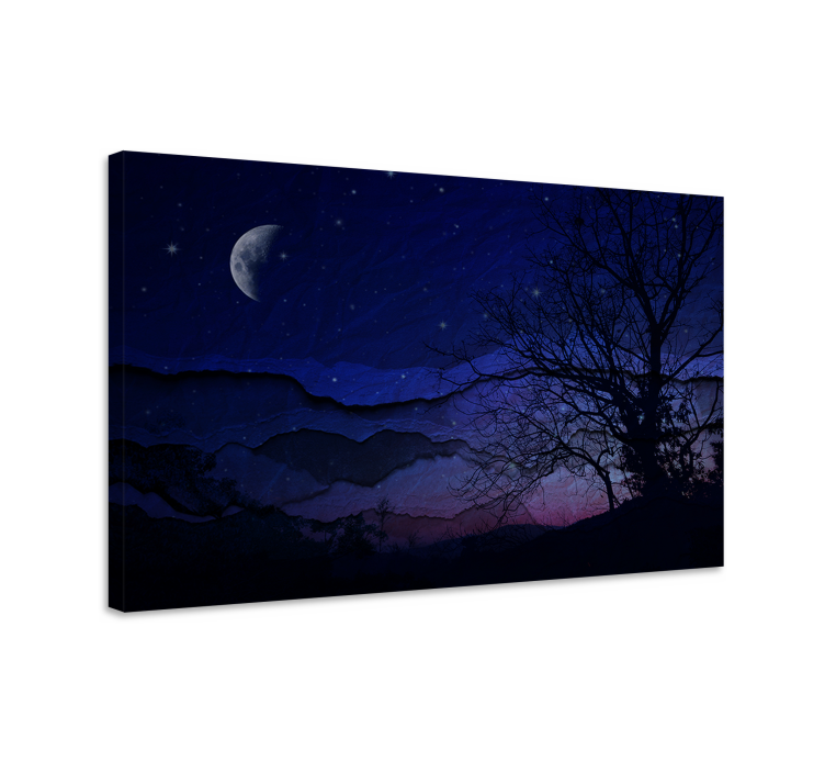 Tableau paysage sérénité du ciel nocturne - TenStickers