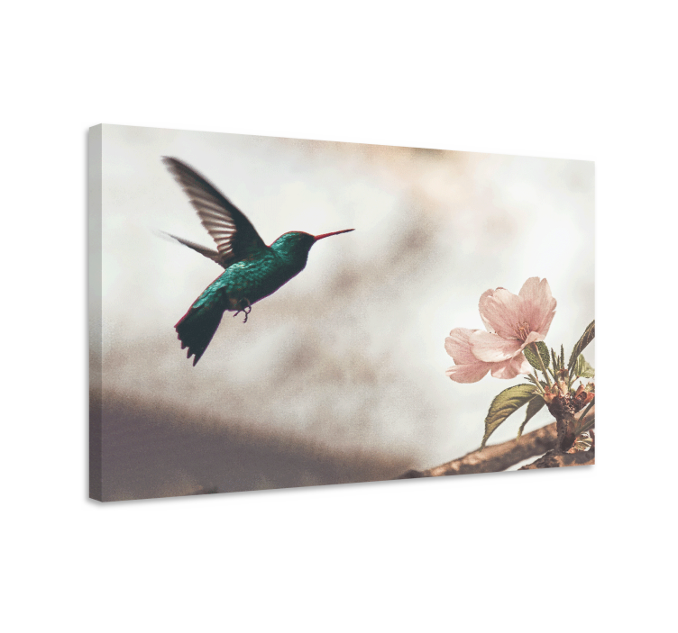 Tableau oiseaux colibri et fleurs - TenStickers