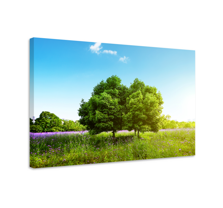 Tableau arbres scène de verdure sereine - TenStickers