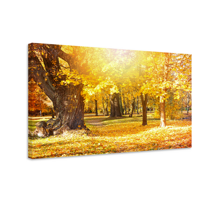 Tableau arbres sentier forestier d'automne - TenStickers