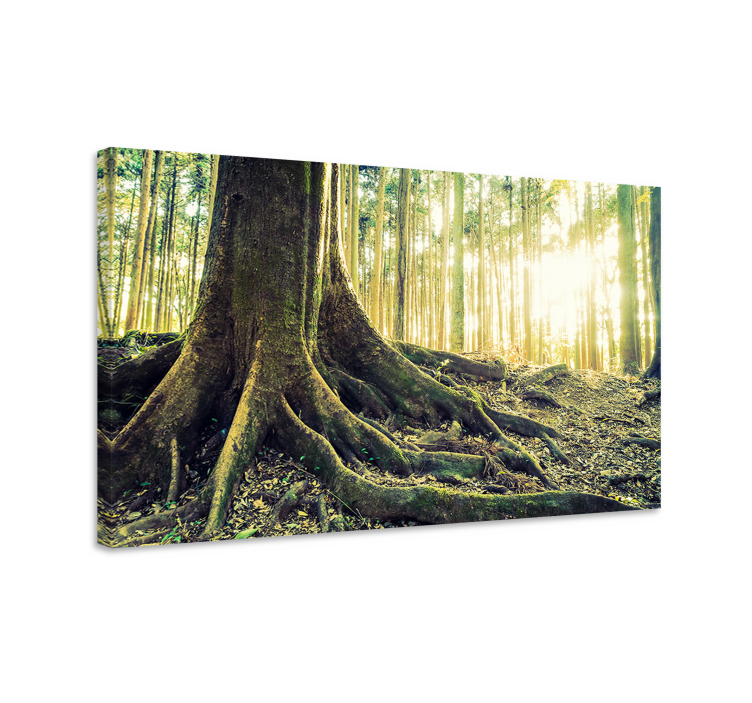 Tableau arbres racines majestueuses - TenStickers