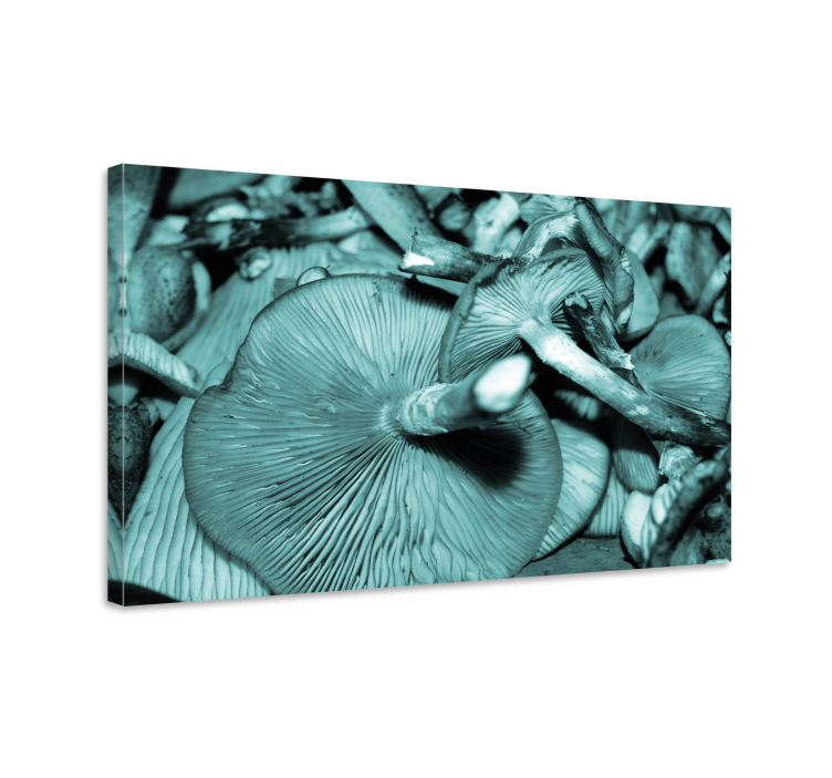 Tableau fleurs et plantes croissance de champignons - TenStickers