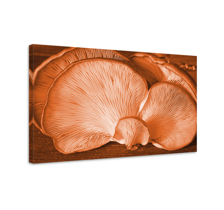 Tableau fleurs et plantes champignon huître gros plan - TenStickers
