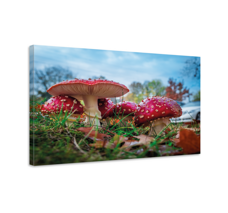 Tableau fleurs et plantes champignon rouge en grappe - TenStickers