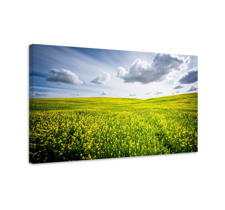 Tableau paysage champ jaune vibrant - TenStickers