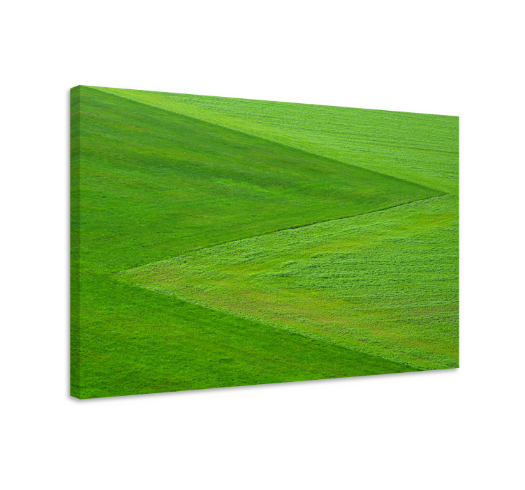 Tableau paysage terrain vert luxuriant - TenStickers