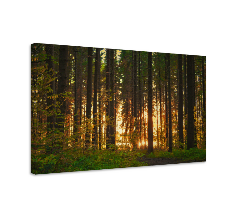 Tableau paysage forêt illuminée - TenStickers