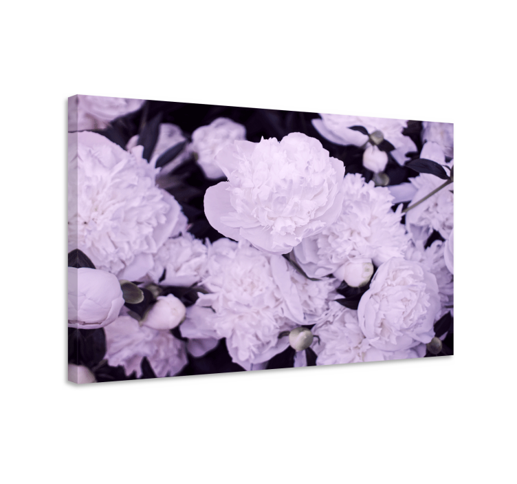 Tableau fleurs et plantes pivoines violettes - TenStickers