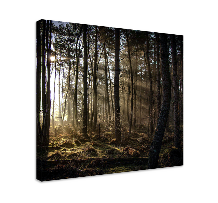 Tableau paysage scène de forêt enchantée - TenStickers