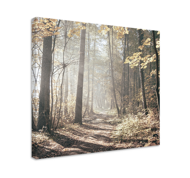 Tableau paysage chemin couvert de brume - TenStickers