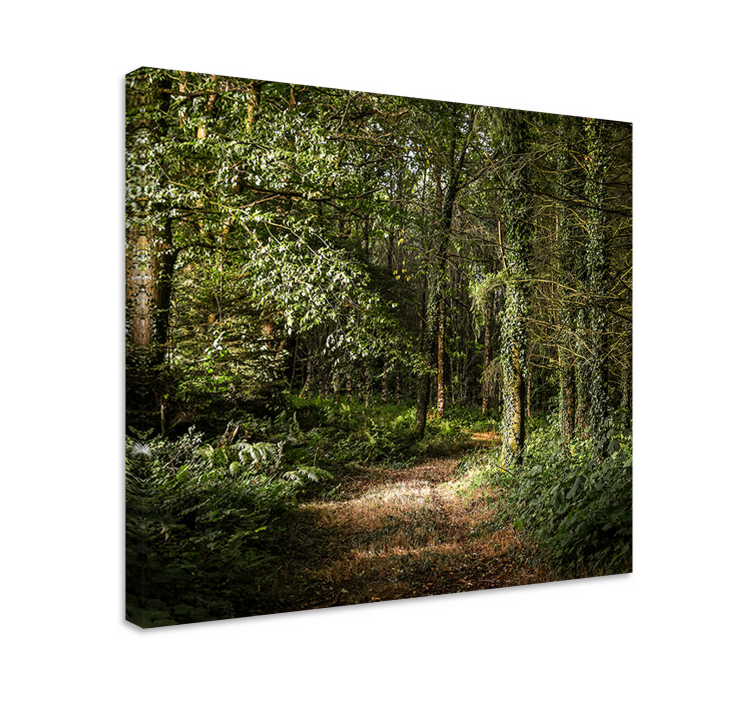 Tableau paysage vue sur le sentier forestier - TenStickers