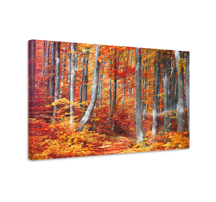 Tableau paysage chemins forestiers d'automne - TenStickers