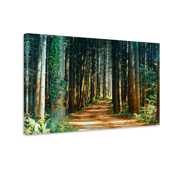 Tableau paysage chemin forestier - TenStickers