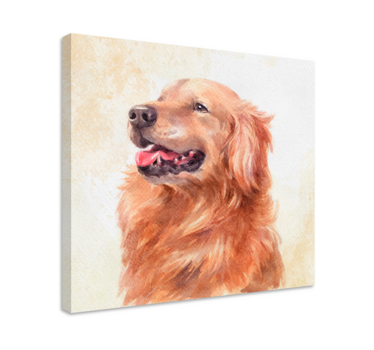 Tableau chiens illustration de golden retriever - TenStickers