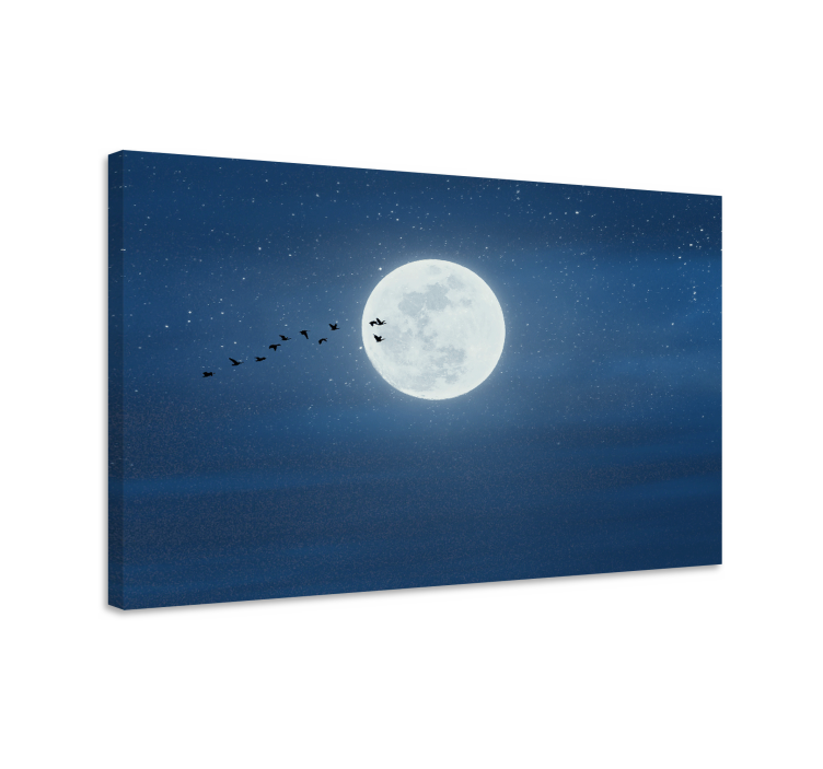 Tableau paysage vol sous la lune - TenStickers