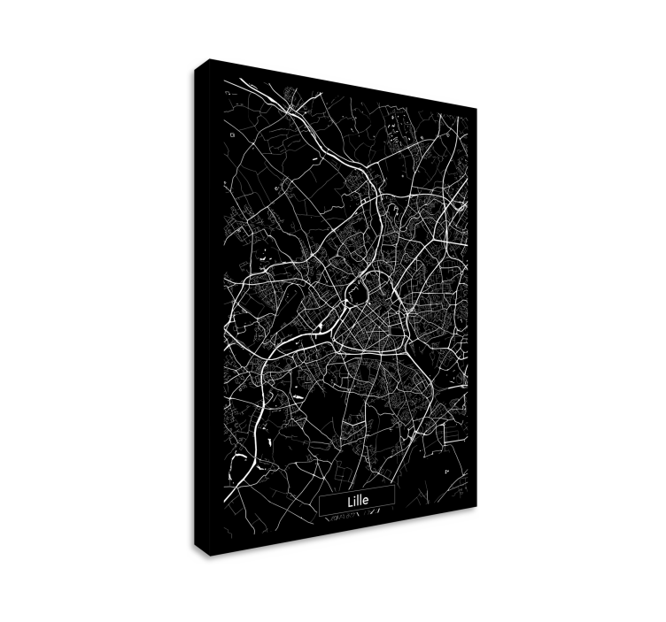 Tableau carte topographique Lille - TenStickers