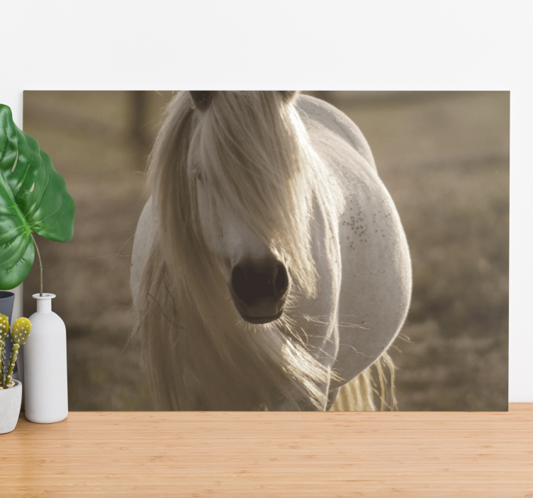 Tableau animal Cheval au visage blanc - TenStickers
