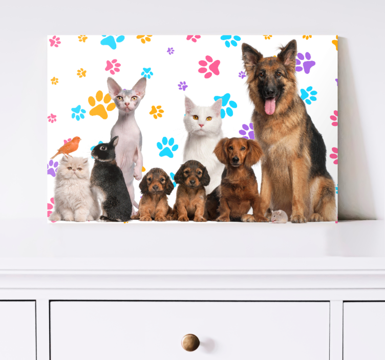 Tableau animal Chiens et chats - TenStickers