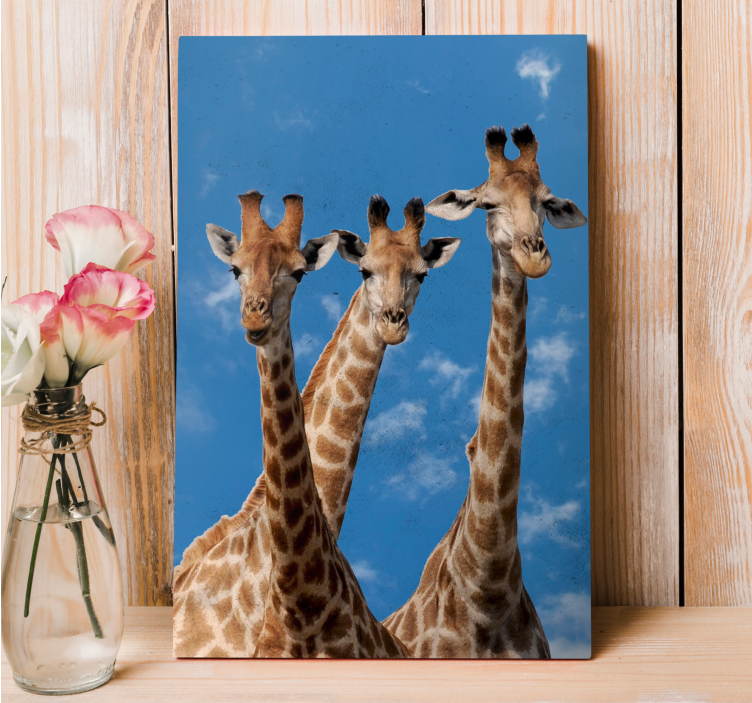 Tableau animaux portrait trio de girafes - TenStickers