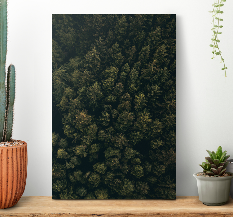 Tableau arbres canopée de forêt luxuriante - TenStickers
