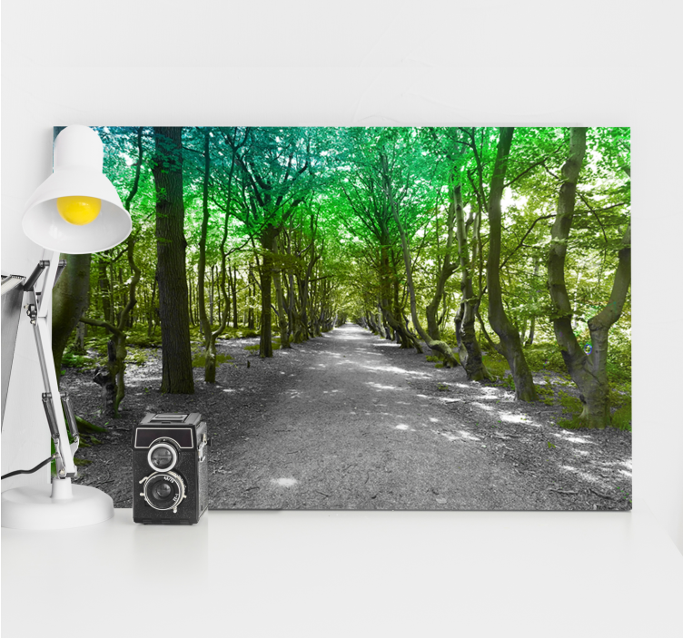Tableau arbres chemin forestier verdoyant - TenStickers