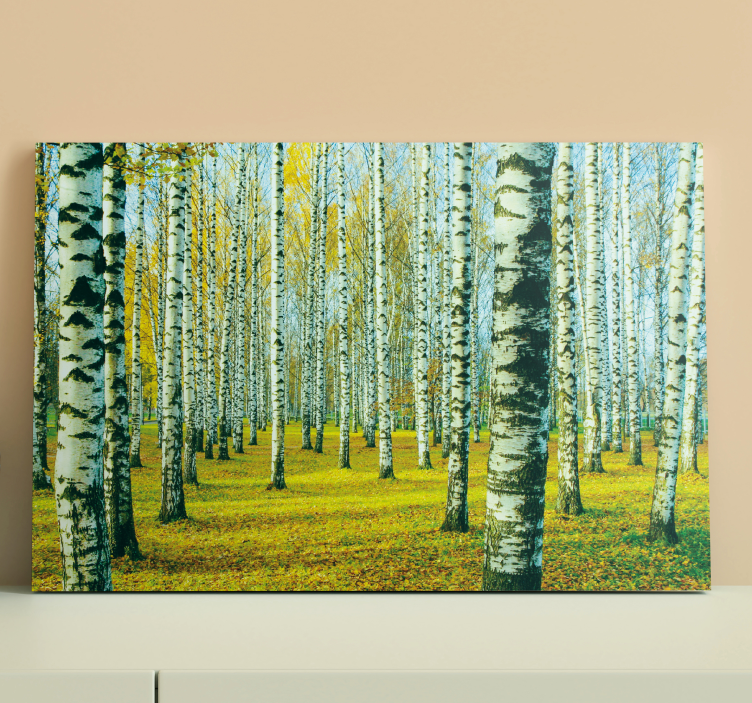 Tableau arbres forêt de bouleaux d'automne - TenStickers