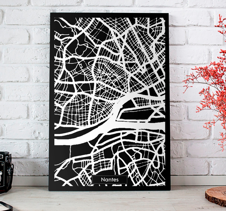 Tableau carte topographique Nantes - TenStickers