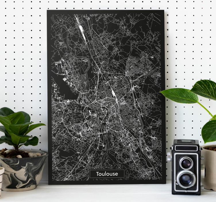 Tableau carte topographique Toulouse - TenStickers