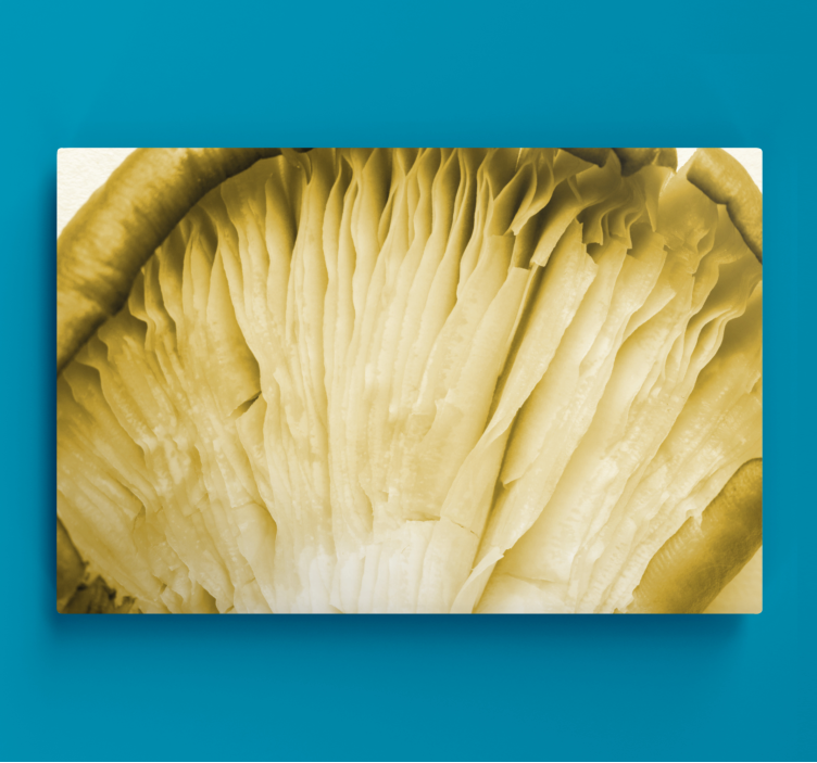 Tableau fleurs et plantes branchies de champignon - TenStickers