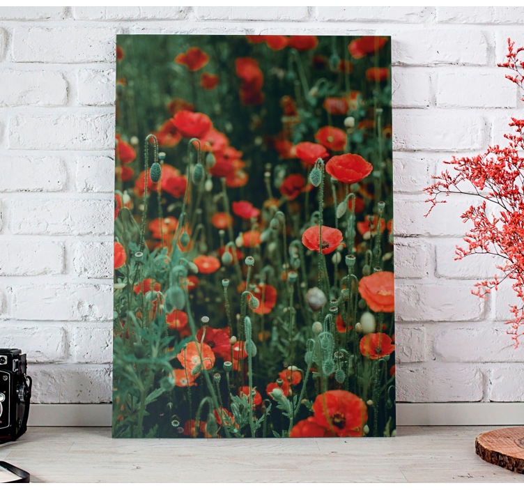 Tableau fleurs et plantes champ de coquelicots rouges - TenStickers