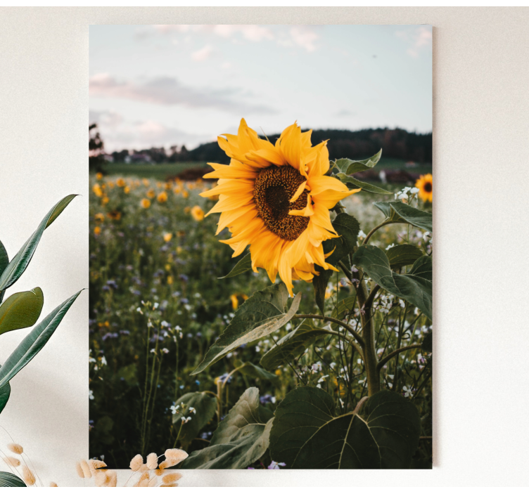 Tableau fleurs et plantes champ de tournesols - TenStickers