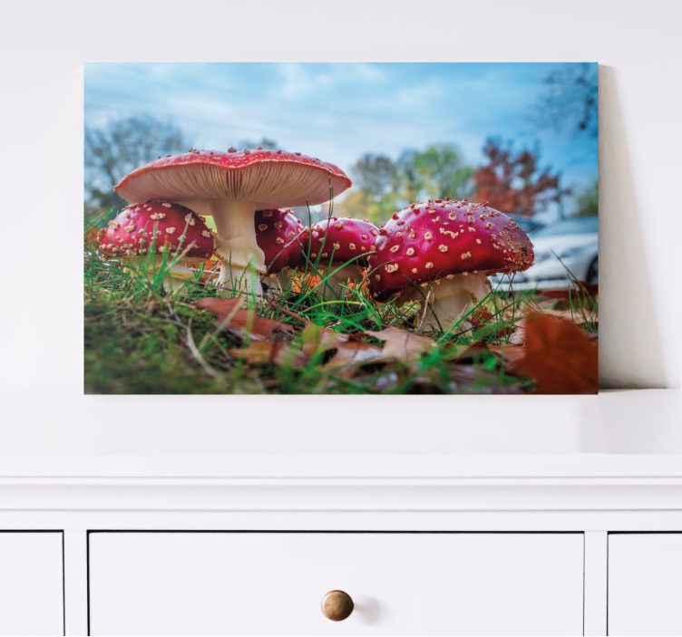 Tableau fleurs et plantes champignon rouge en grappe - TenStickers