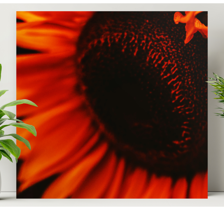 Tableau fleurs et plantes floraison radieuse de tournesol - TenStickers