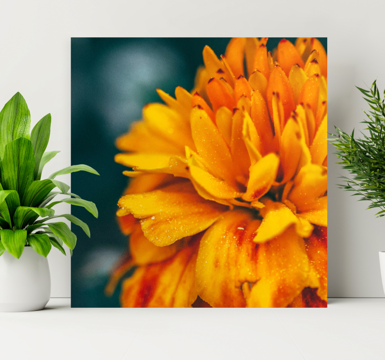 Tableau fleurs fleur d'orange vibrante - TenStickers