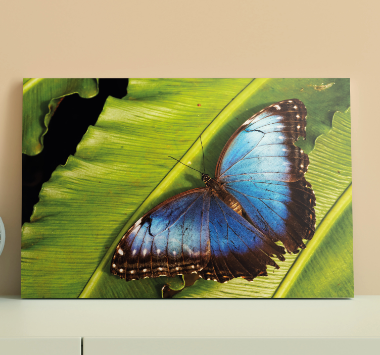 Tableau papillons papillon sur feuille - TenStickers