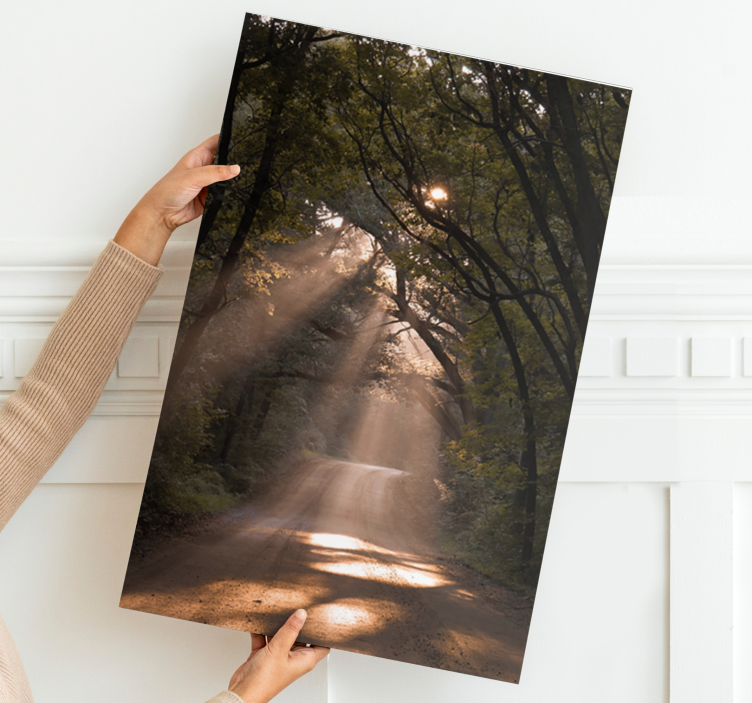 Tableau paysage sentier ensoleillé dans les bois - TenStickers