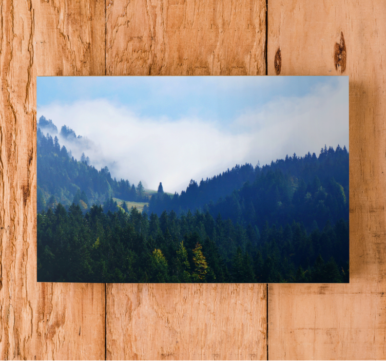 Tableau paysage sommets forestiers majestueux - TenStickers