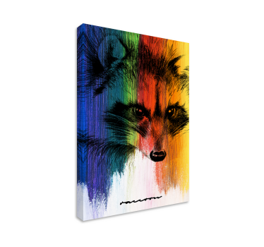 Tableau moderne raton laveur arc-en-ciel - TenStickers