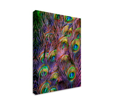 Tableau avec oiseaux Plume de paon - TenStickers